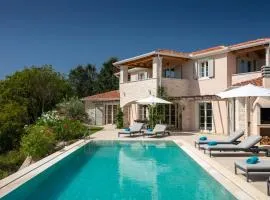 Family villa Rapavel with pool in Visnjan