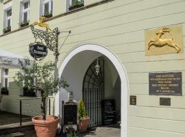 Akzent Hotel Goldner Hirsch – hotel w mieście Kamenz