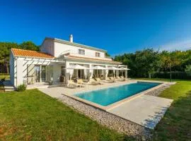 Modern villa Oliveti with pool and grill in Porec