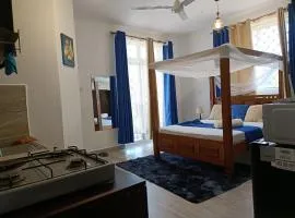Affordable neat studio furnished apartment in Mtwapa