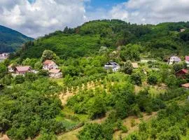 UpForest Guesthouse