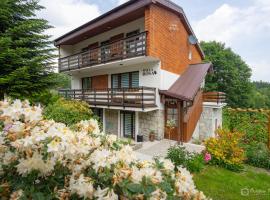 Willa Rosa-apartamenty z prywatną sauną, vila ve Sklářské Porubě