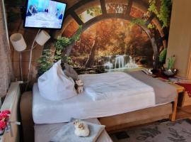 Petersferienwohnung- Ferienwohnung mit Sauna, Pools und großem Balkon im Bayerischen Wald "Sankt Englmar", cheap hotel in Sankt Englmar