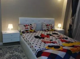 Myky Mouse nu primesc santieristi si petrecareti