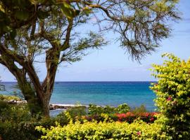 K B M Resorts: Napili Point NAP-A25 Stunning 1-Bedroom Ocean Front Villa Prime Location Turtle Views Includes Rental Car, отель в городе Капалуа