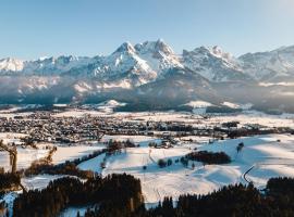 Apartment in Saalfelden near Ski Slopes, hotel in Saalfelden am Steinernen Meer