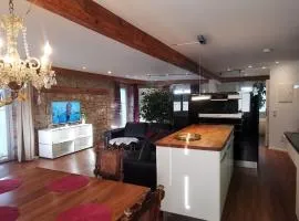 Exklusive LOFT-Wohnung, nur 30 Min von Zürich