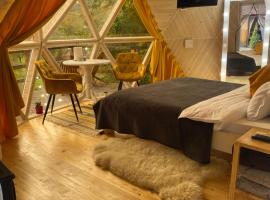 Honey dome, hotel ieftin din Vizhenka