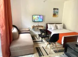 Mudzini studio