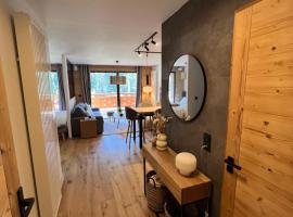 Très bel appartement au gets