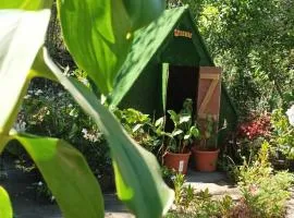 Camping D'Tente Paradise