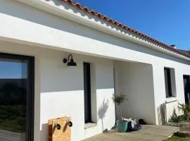 Jolie villa face aux dunes et mer