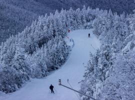 Smugglers' Notch Resort Private Suites, hotel with parking in Cambridge