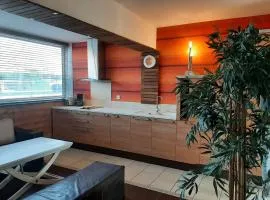 Charmant T2 rénové à Capbreton à 2 min de la plage avec parking privé - FR-1-239-901