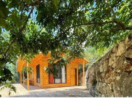 Ece Hanı Bungalow Hotel, hotel v destinaci Yaka