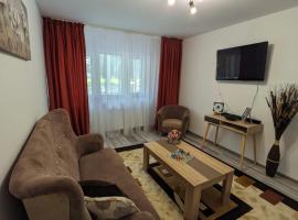 Apartamentul ALFA, casă de vacanță din Slănic Moldova