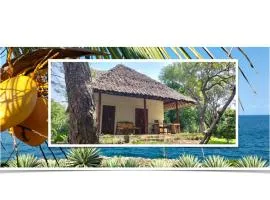 Cove House House 60 m2 Creekside Indian Ocean