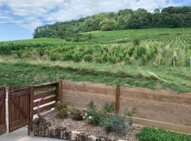 le gite des vignes Studio tout confort 1 chambre dans le vignoble Franche Comte Arbois، فندق في أربويس