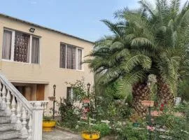 House - Kutaisi International Airport 15 Minutes, Samtredia Kulashi 15Tamar Mepe Street