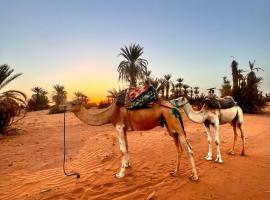 Mhamid wild Trekking Camels, campsite in Mhamid