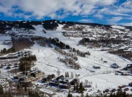 Hafjell Alpinlandsby Apt 88, hotel en Hafjell
