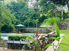 Tropical trails -Unawatuna