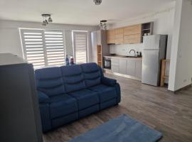 Zemu izmaksu kategorijas viesnīca Raluca cozy apartment's pilsētā Ploješti