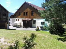 Charmant Gîte avec Garage et Local Vélos au Pied des Pistes de La Bresse - FR-1-589-127