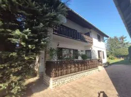 Holiday home in Balatonboglar 45807