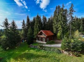 Forest Home Relax, hotel en Borzont
