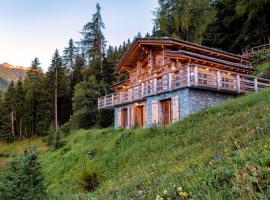 Authentic Swiss Spa Chalet Nesoya Jacuzzi Sauna, hotel with parking in Riddes