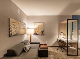 SpringHill Suites by Marriott Dallas McKinney, hotell sihtkohas McKinney