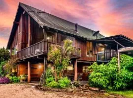 Treetops Sanctuary - Luxury Treehouse pole home