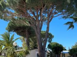 Camping Del Mar B07, Mobil home O'Hara résidentiel, 4 personnes, Camping Del Mar Village