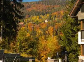 Czarny Kamień Resort & SPA