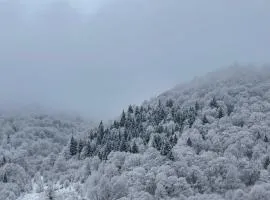 Bakuriani trialeti residence block b