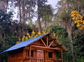 Pinar del Valle - Glamping en el Bosque - Propiedad Completa en Constanza, cabin in Constanza