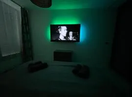 DELUXE APARTMENT (Free Parking)