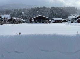 Chalet Esquinade 4 bedrooms appartment Megève、ムジェーヴのホテル
