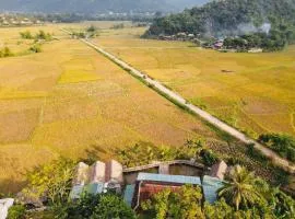 mai chau rice fields homestay