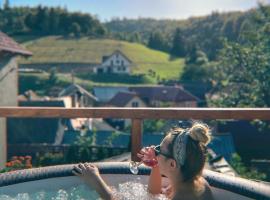 Casa Fratila, hotel din Holbav