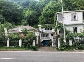 Guesthouse Nuri