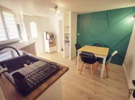 T1 bis, jardin, proche du centre