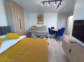 Apartament Zabrze Grzybowska, apartament din Zabrze