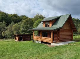 Vysoka brama дерев'яний будиночок з чаном, holiday home in Oriv