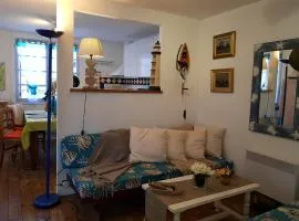 HERM'S Petite maison atypique et cour privative -