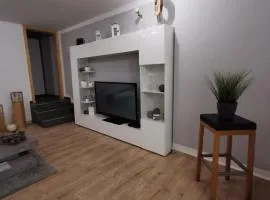 Schöne Ferien- oder Monteurwohnung "Ausblick Storchennest"