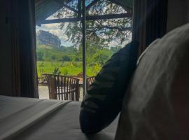 Sigiri Close-up View Guest, отель типа «постель и завтрак» в Сигирии