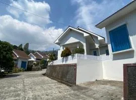 Villa Bromo Potato 2