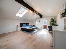 Altes Inserat Large apt in town center with garden & near lake